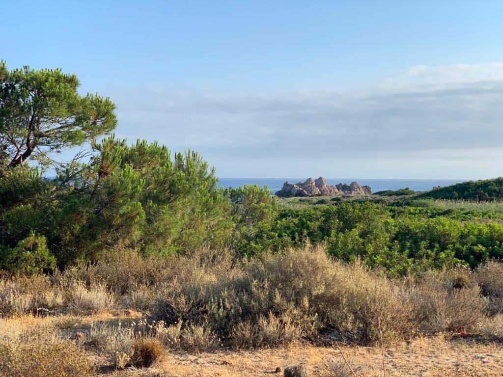 Cala Rossa * Isola Rossa
